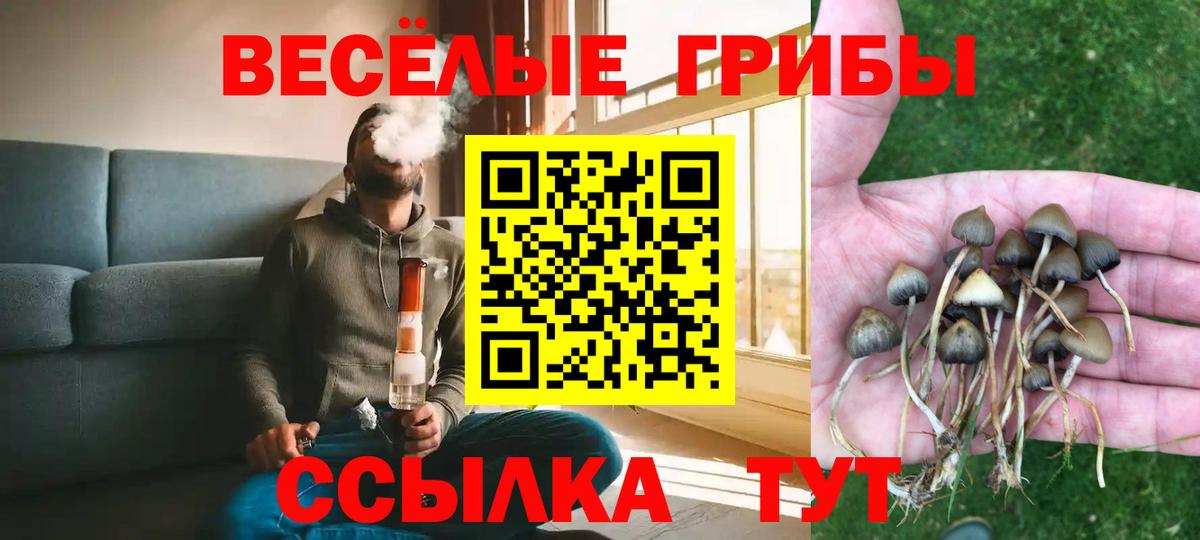 Галлюциногенные грибы MAGIC MUSHROOMS  Вход с VPN  Севастополь 